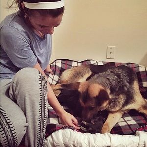 ASO Sydney James joggers